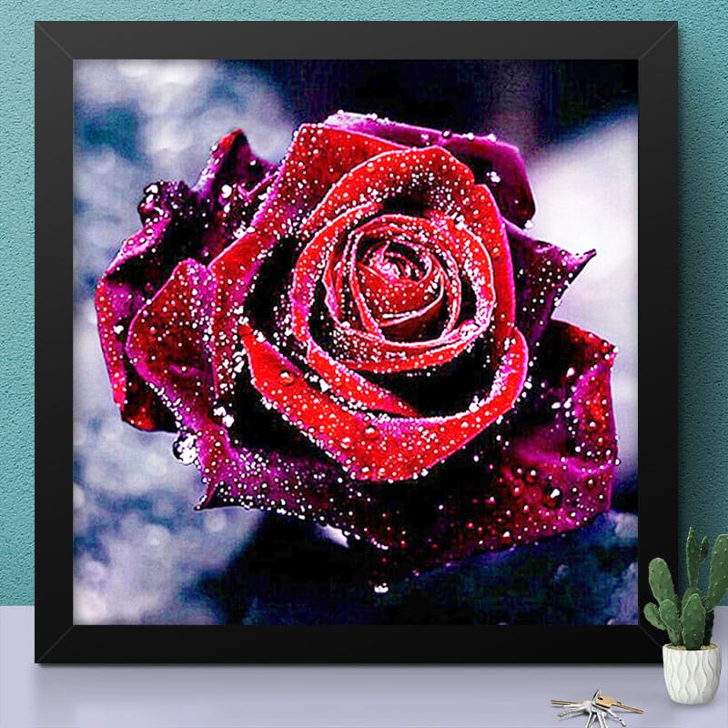 Beautiful Red Rose