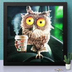 Owl And Coffee