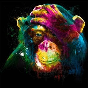 Colorful Monkey