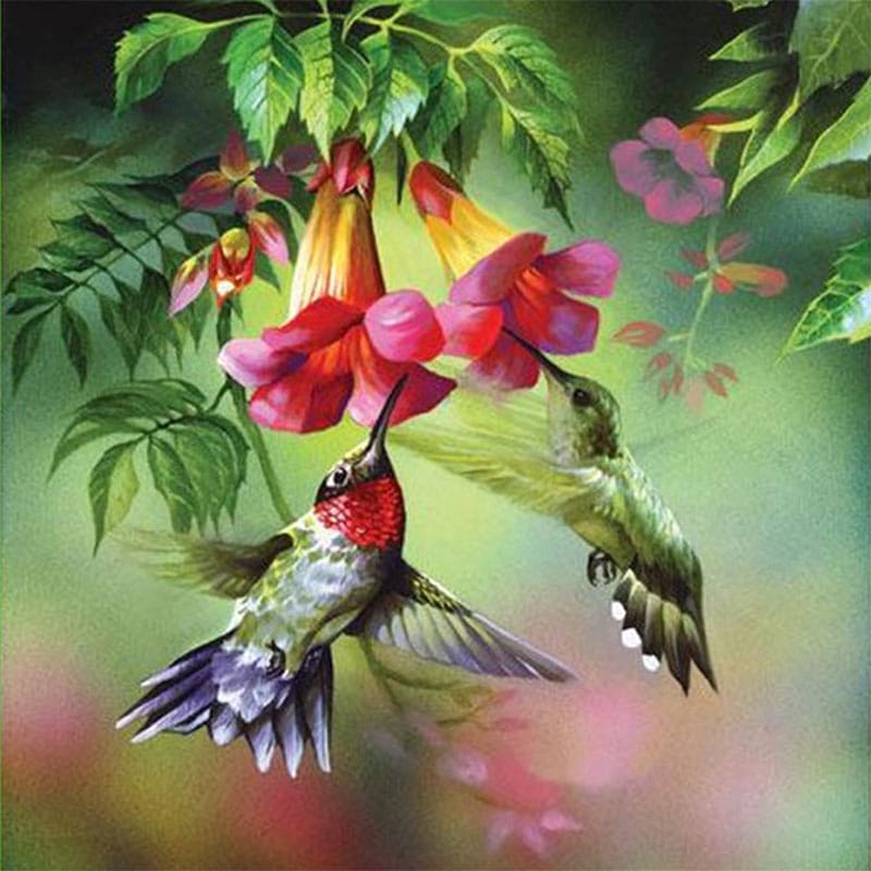 Beautiful Flower and Bird