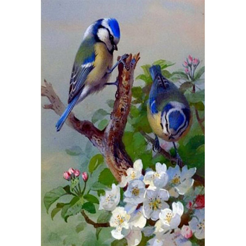 Blue Sparrow and White Flowers