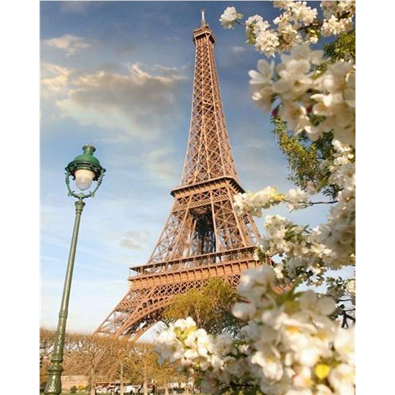 Eiffel Tower and White Flowers
