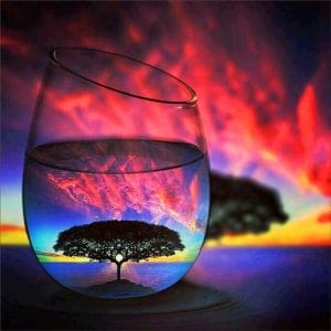 Tree in the Reflection